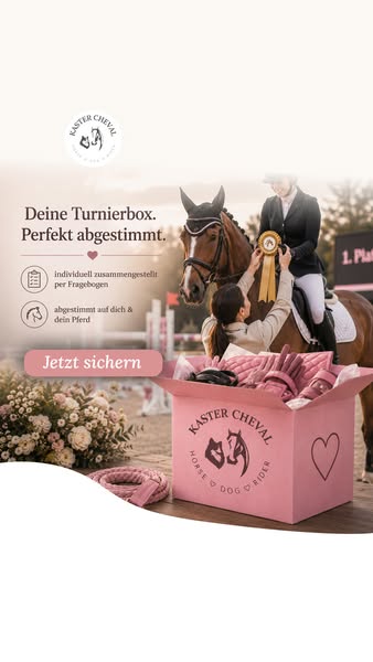 Limitierte Turnierreiter Mystery-Box sichern!