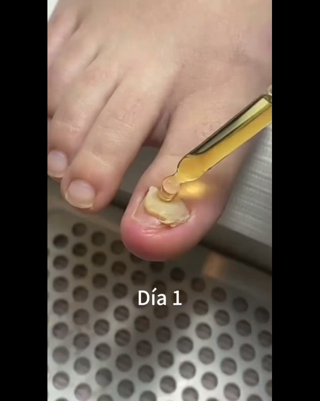 4.8 Reseñas