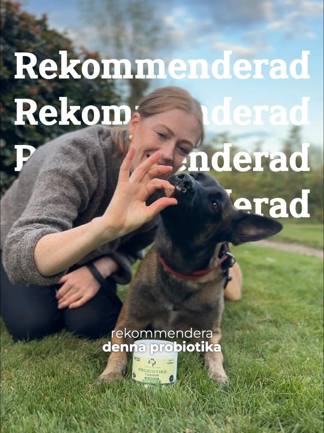 3 saker din hund gör som egentligen handlar om magen.