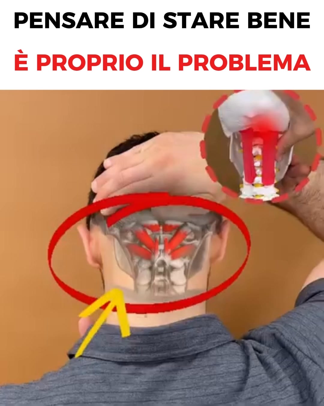 Perché Giramenti di Testa, Tachicardia e Reflusso Spesso Iniziano dal Collo