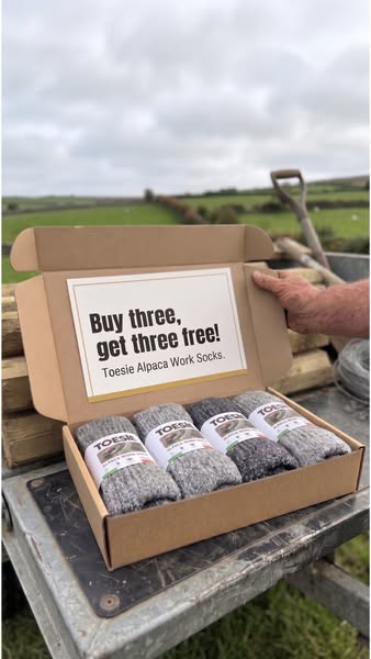 Buy 3, Get 3 Free — Free Delivery