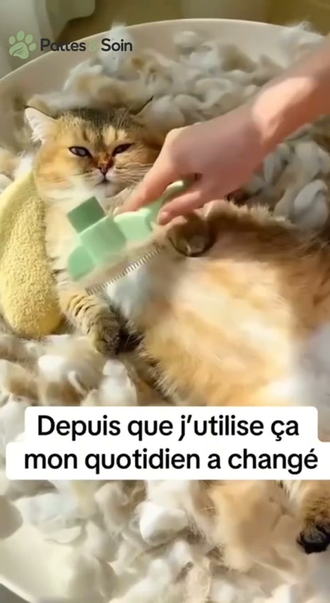 Plus besoin d’aspirateur ou de rouleaux !