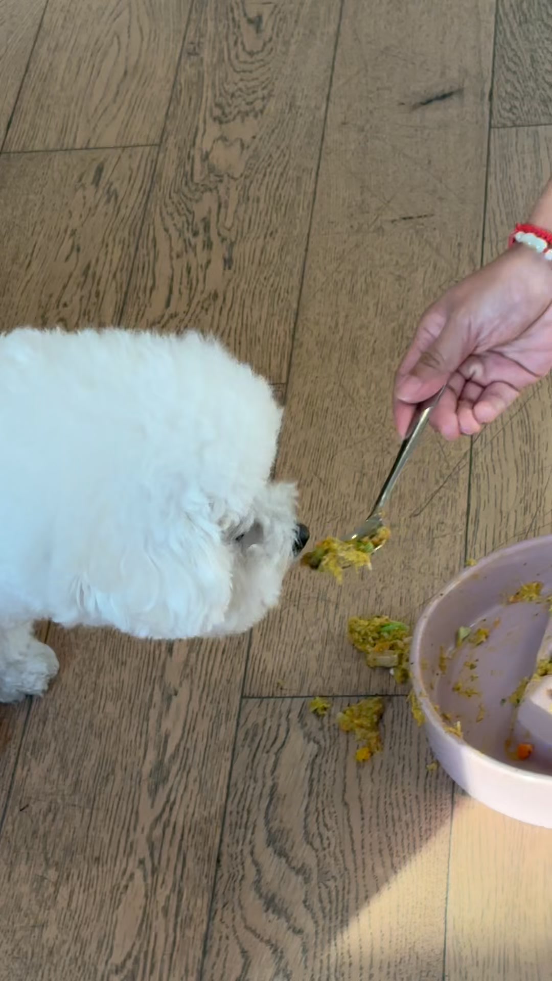 A Mealtime Game Changer