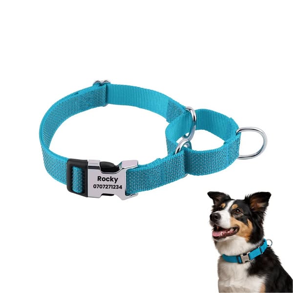 Semi-Choke Collar with Personalised Engraving