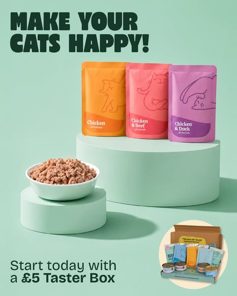 Over 10,000+ happy cats!