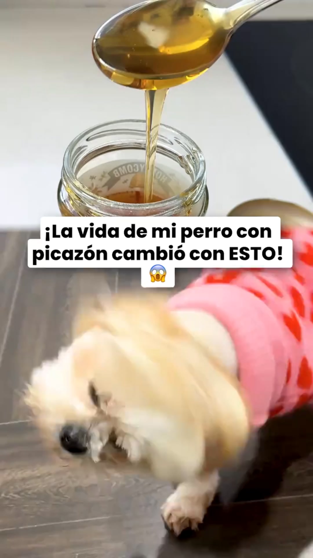 +100.000 clientes