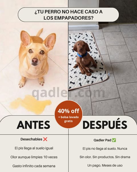 Otro día limpiando el mismo suelo.