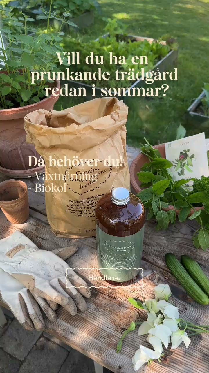 Florea växtnäring