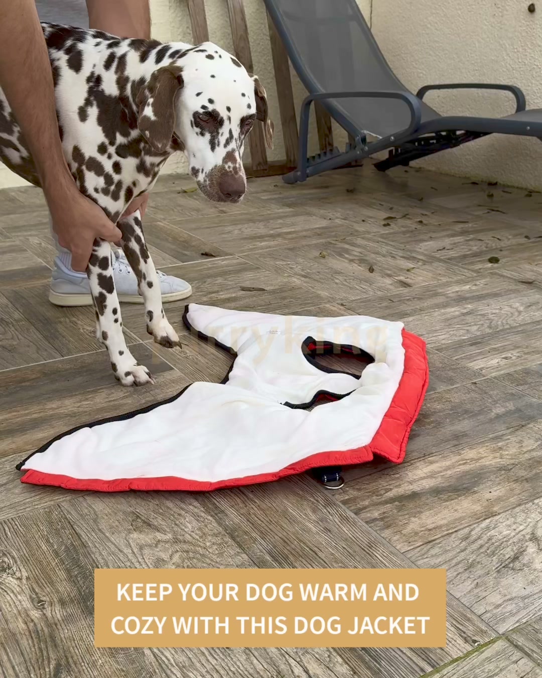50%OFF Dog coats