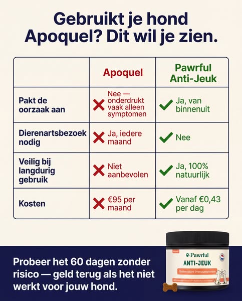 Stop het krabben en pootlikken van je hond