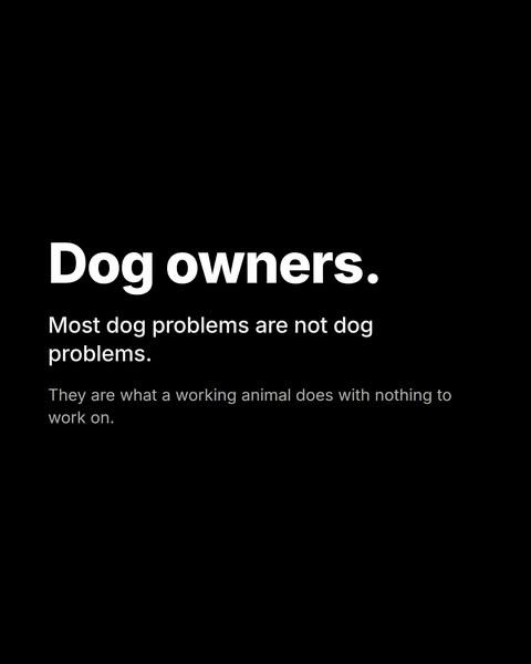 Discover your breed