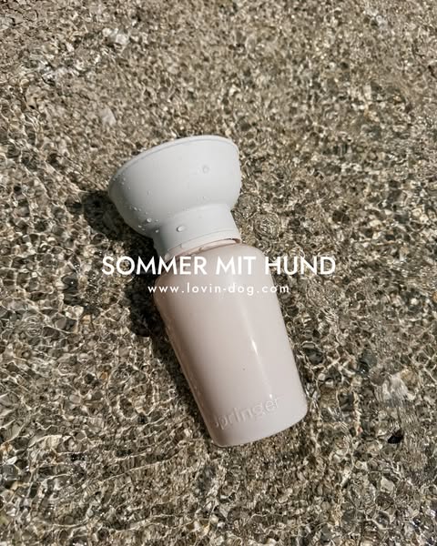 2-in-1 Trinkflsche