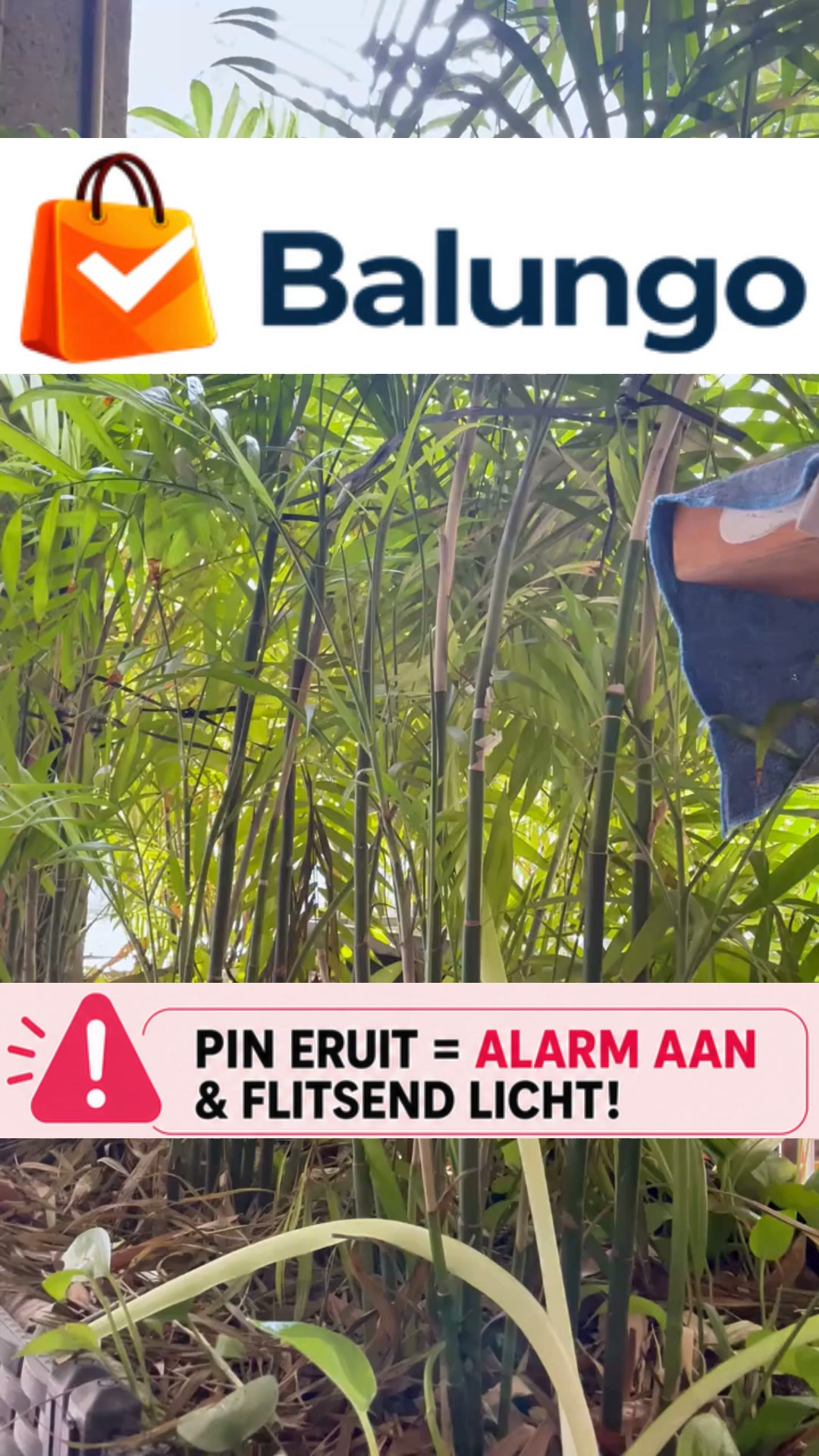 Profiteer vandaag van de tijdelijke korting!