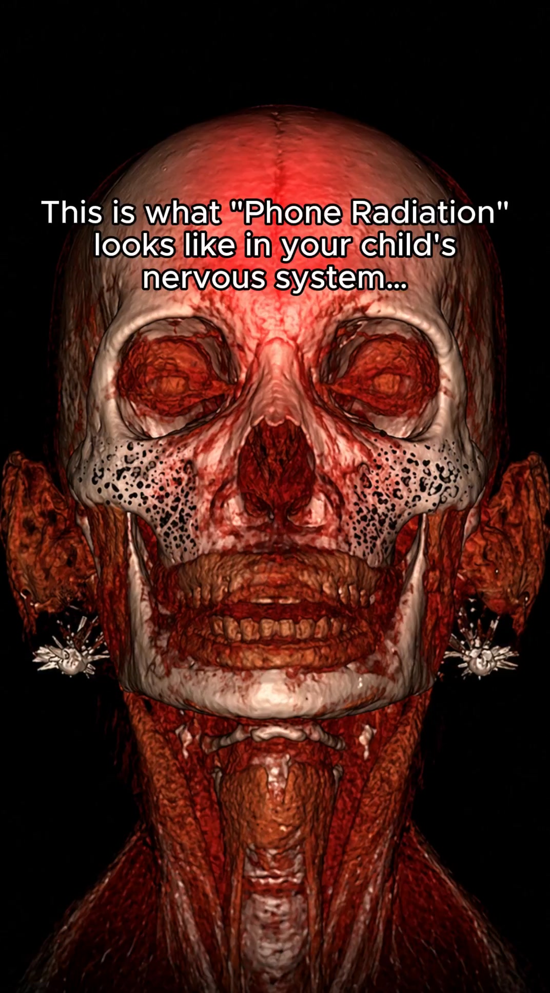 #1 Family Protection