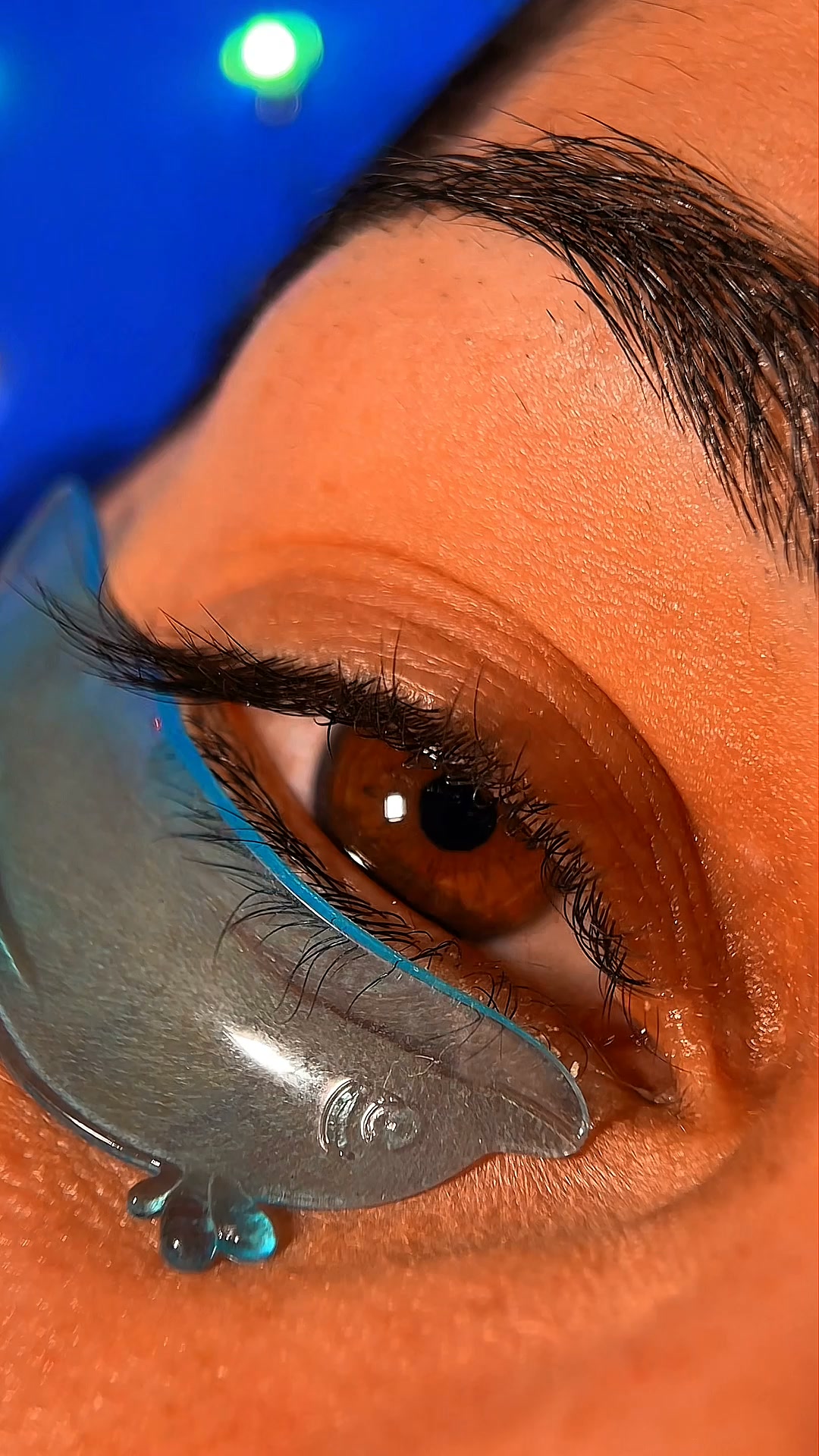 Your Next Premium Lash Service