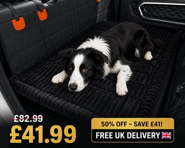 PawGuard™ Car Hammock | 50% OFF