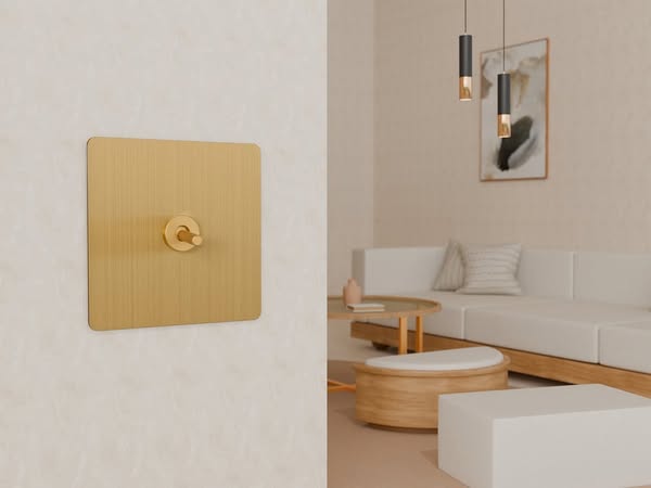 The UK's First Smart Toggle Switch