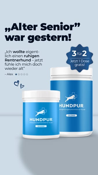 Hundebesitzer LIEBEN diese „Gelenk-Pellets“