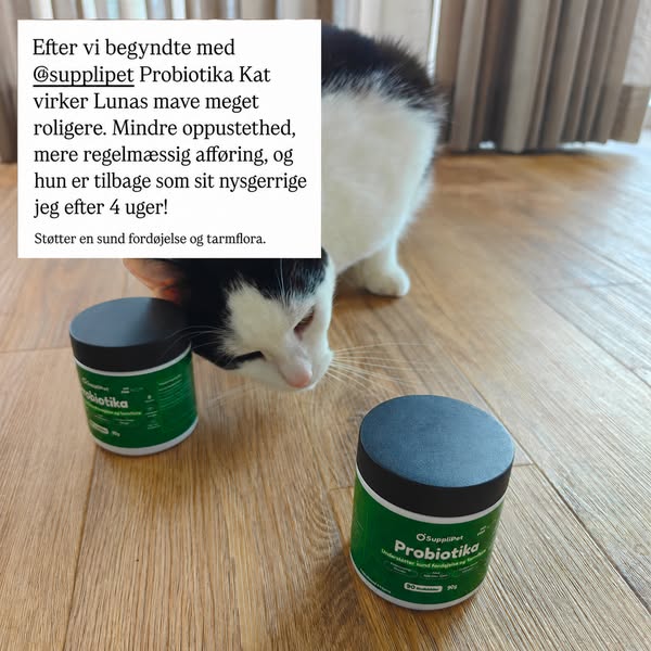 Nyhed: Probiotika til katte!