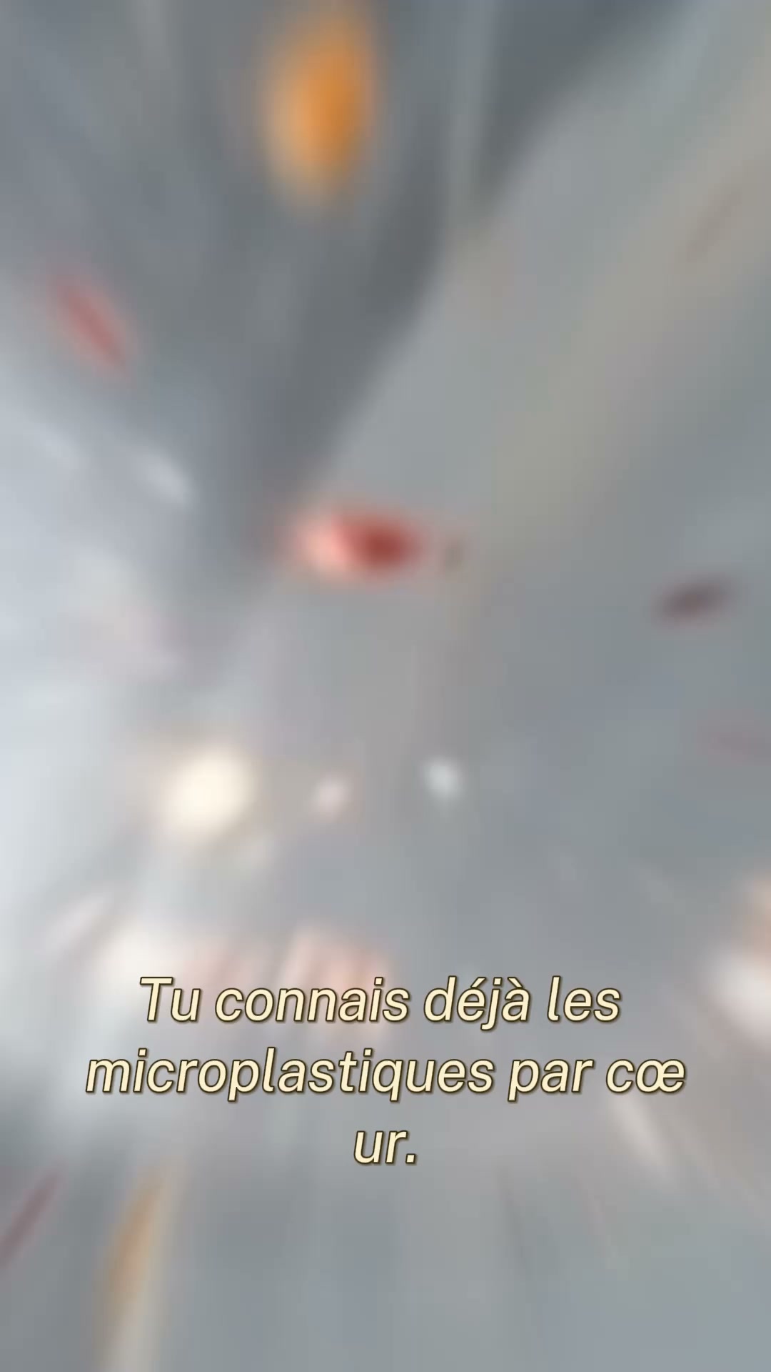 Livraison Gratuite