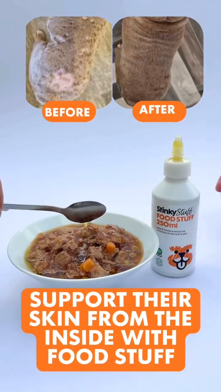 Itchy Dog? Support Their Skin From Within