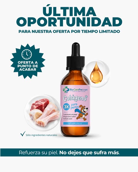 Si tu perro se rasca sin parar....Lee esto