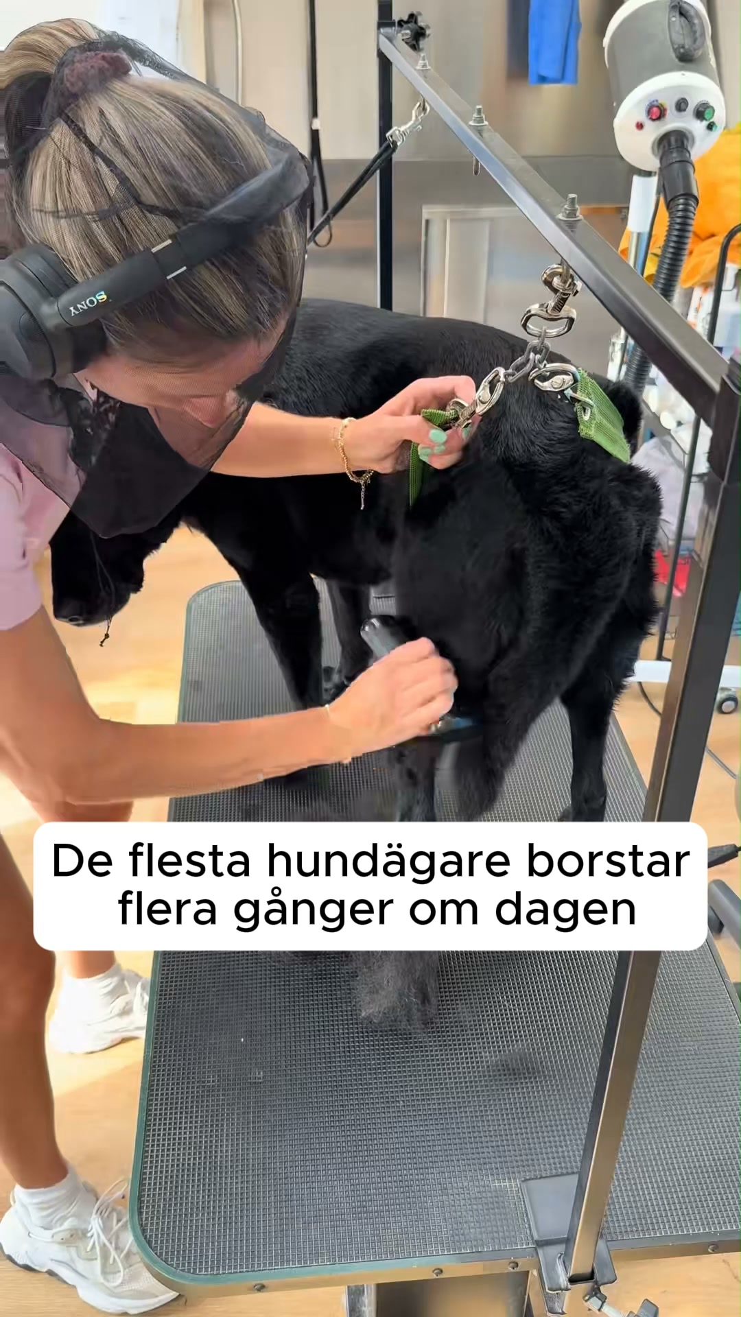 50% REA + FRI FRAKT
