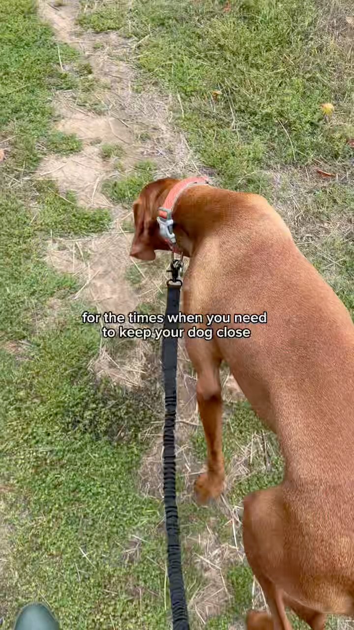 Hands free for the whole walk