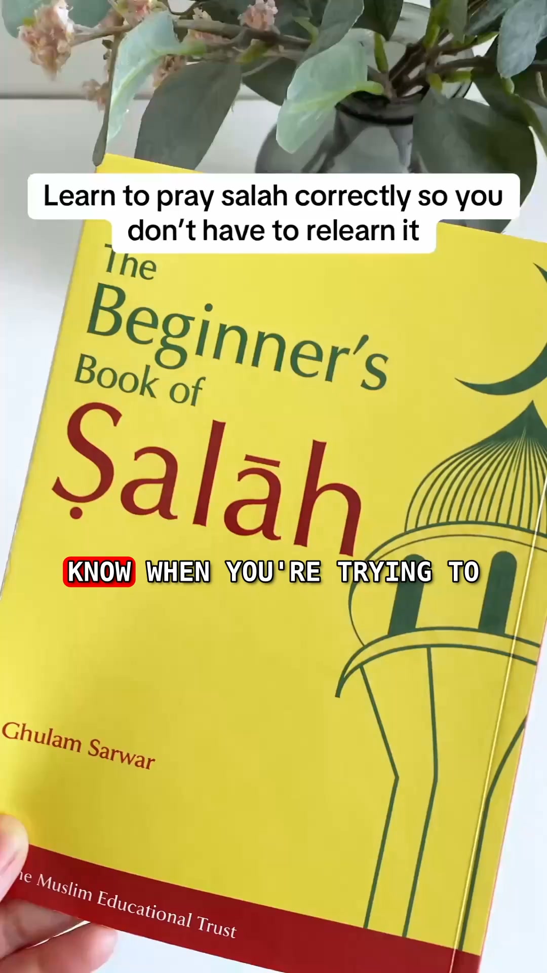 Finally Learn to Pray Salah Properly