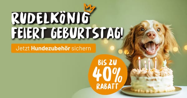Bis zu 40% Rabatt im Birthday Sale!