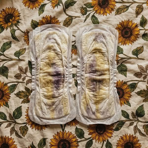 Finally, organic cotton underwear truly designed for urinary incontinence
