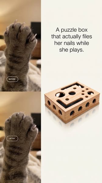 Read If It's Impossible To Cut Your Cat's Nails