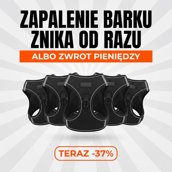 Jak oduczyć psa ciągnięcia na smyczy bez tresury