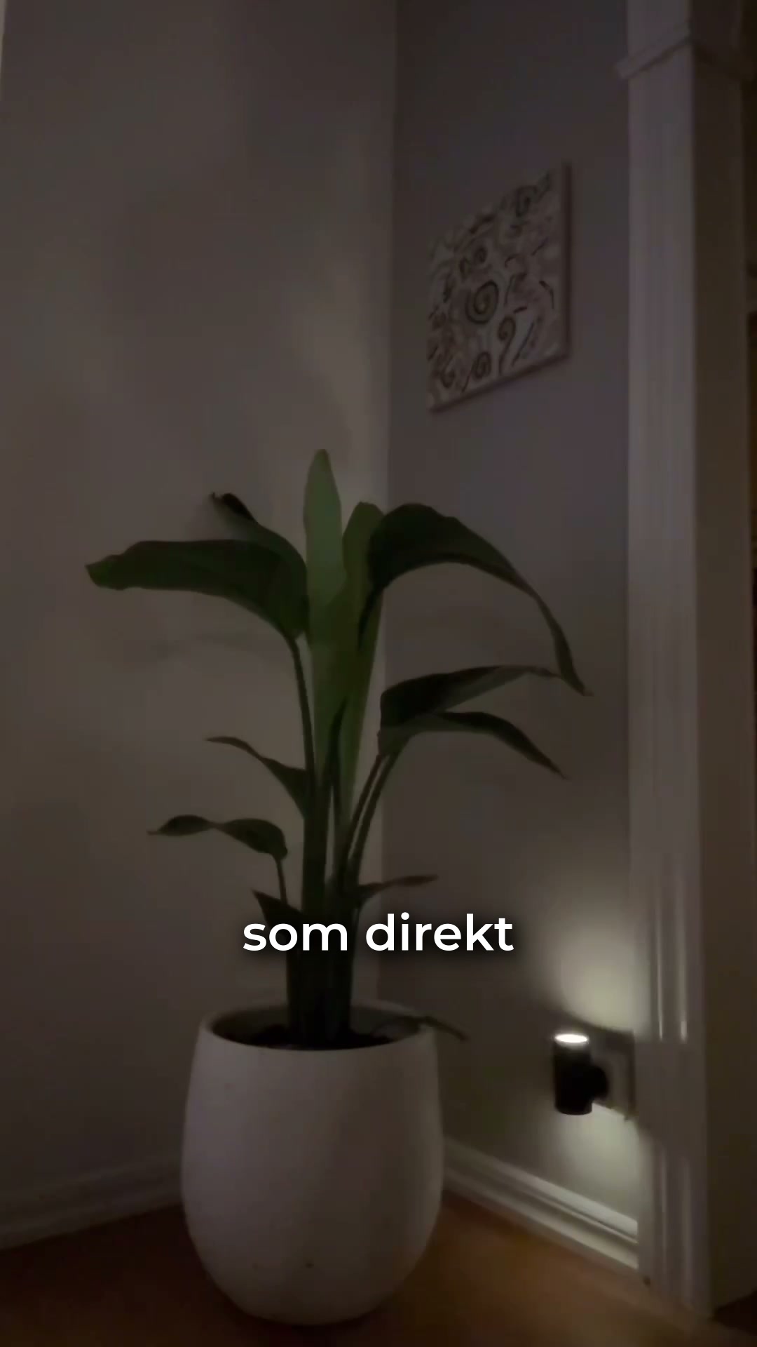 Lampan som tänds själv – varje kväll