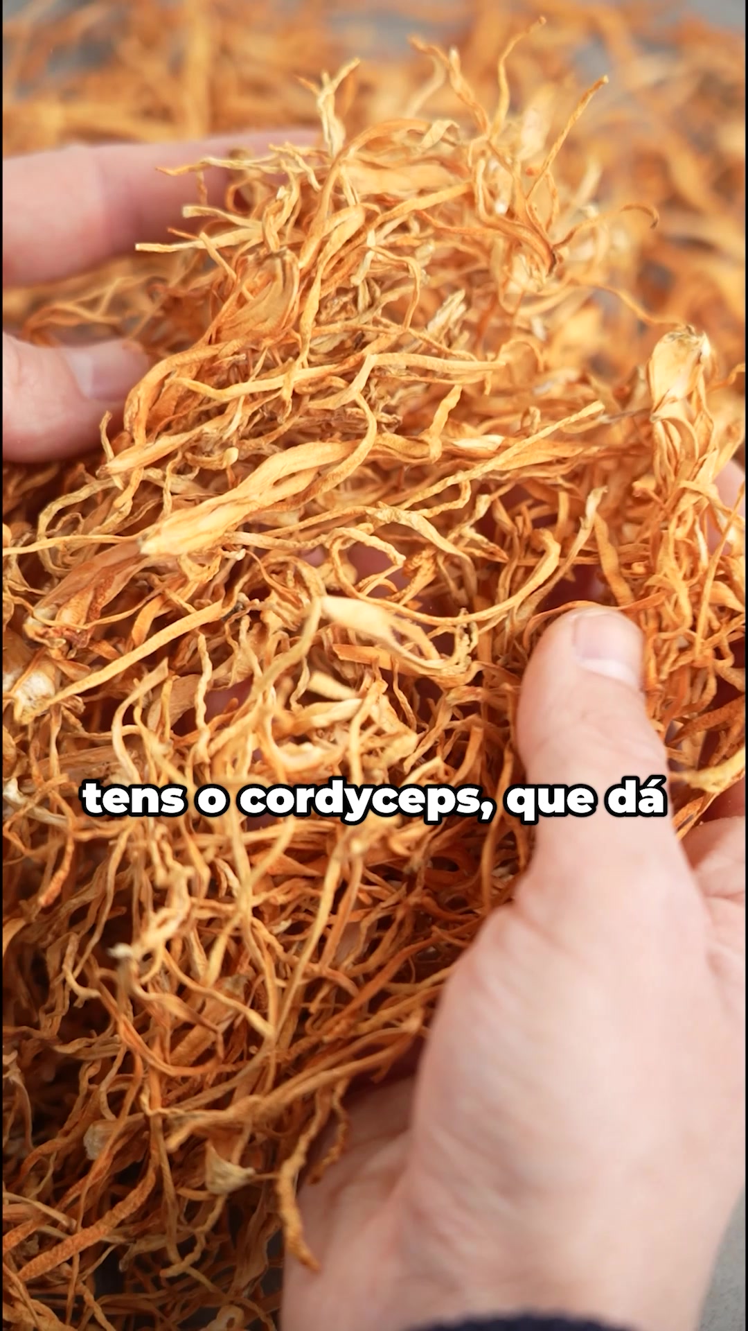 Feito em França com extratos orgânicos de plantas e cogumelos franceses