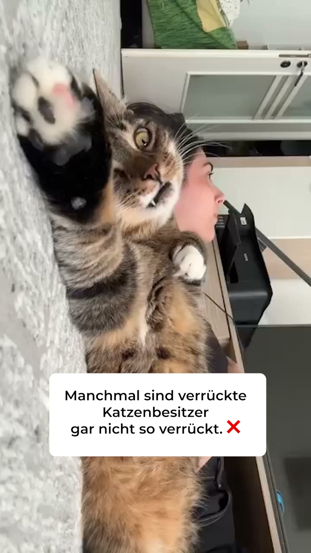 1+1 Neukunden Angebot