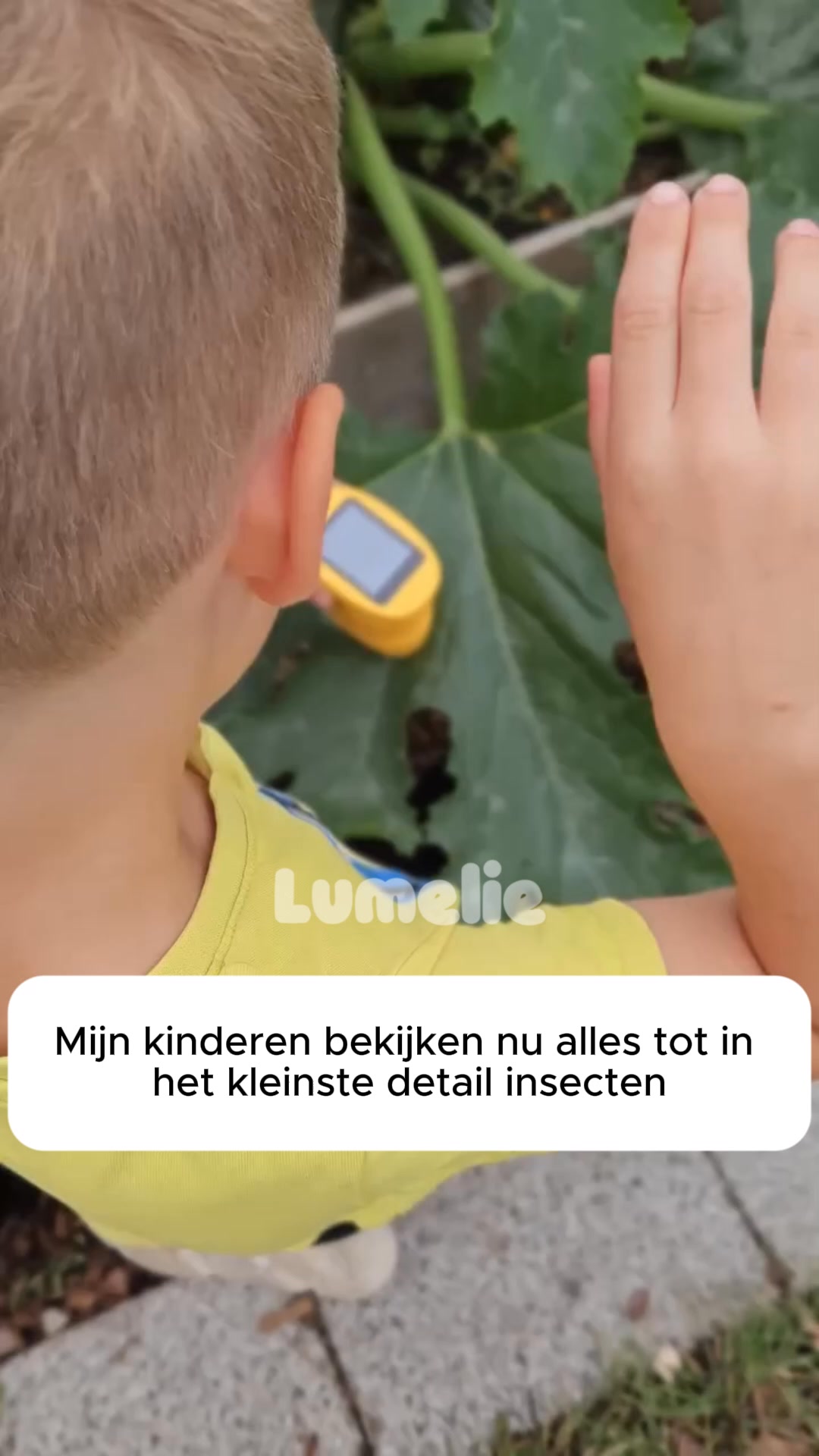 Ontdek een geheime wereld die je kind nooit meer vergeet — Vandaag 50% korting