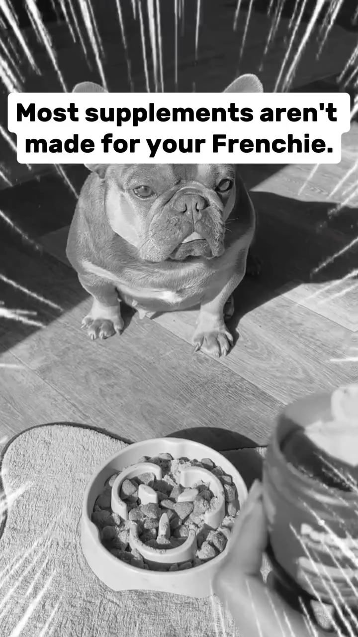 Your Frenchie deserves better.