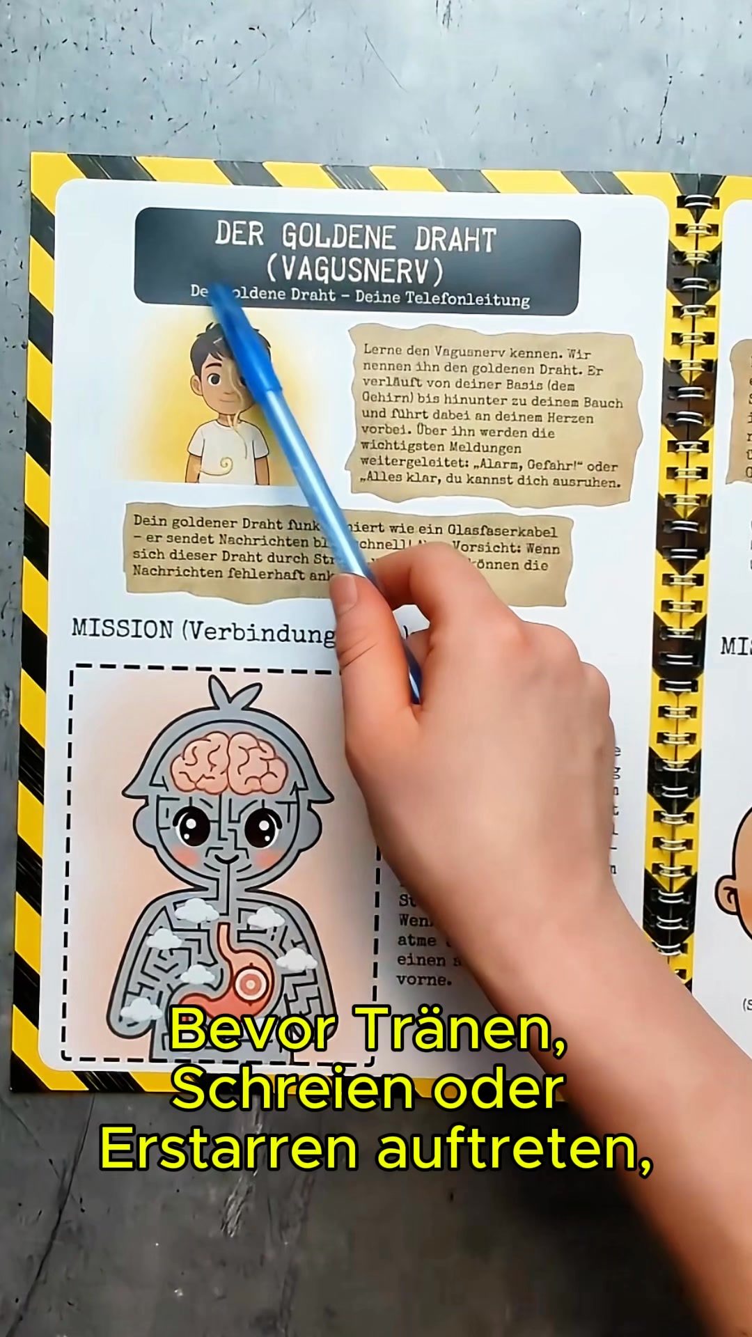 Bildung ist besser als Strafe