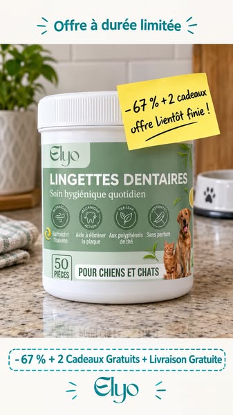 Offrez à votre chien une vie plus saine et plus heureuse