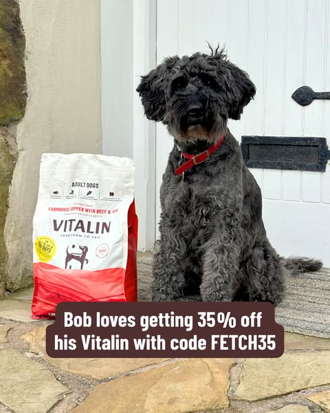 35% Off Everything