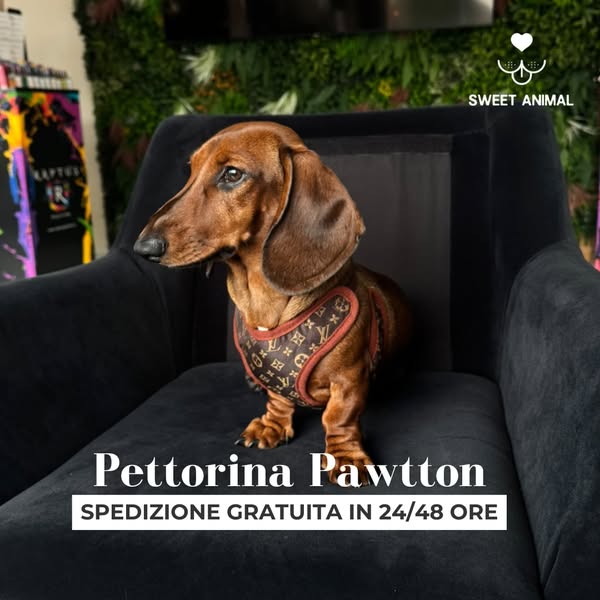 Pettorina & guinzaglio