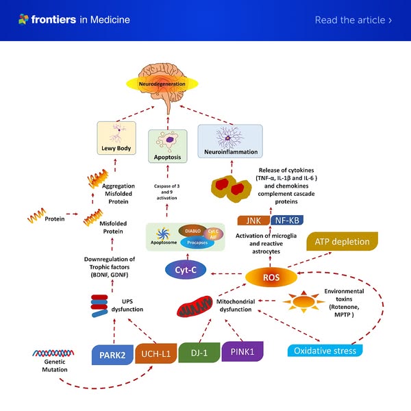 Nanomedicine for Parkinson’s Disease Treatment