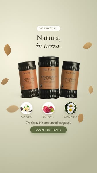 I Migliori Tè e Tisane