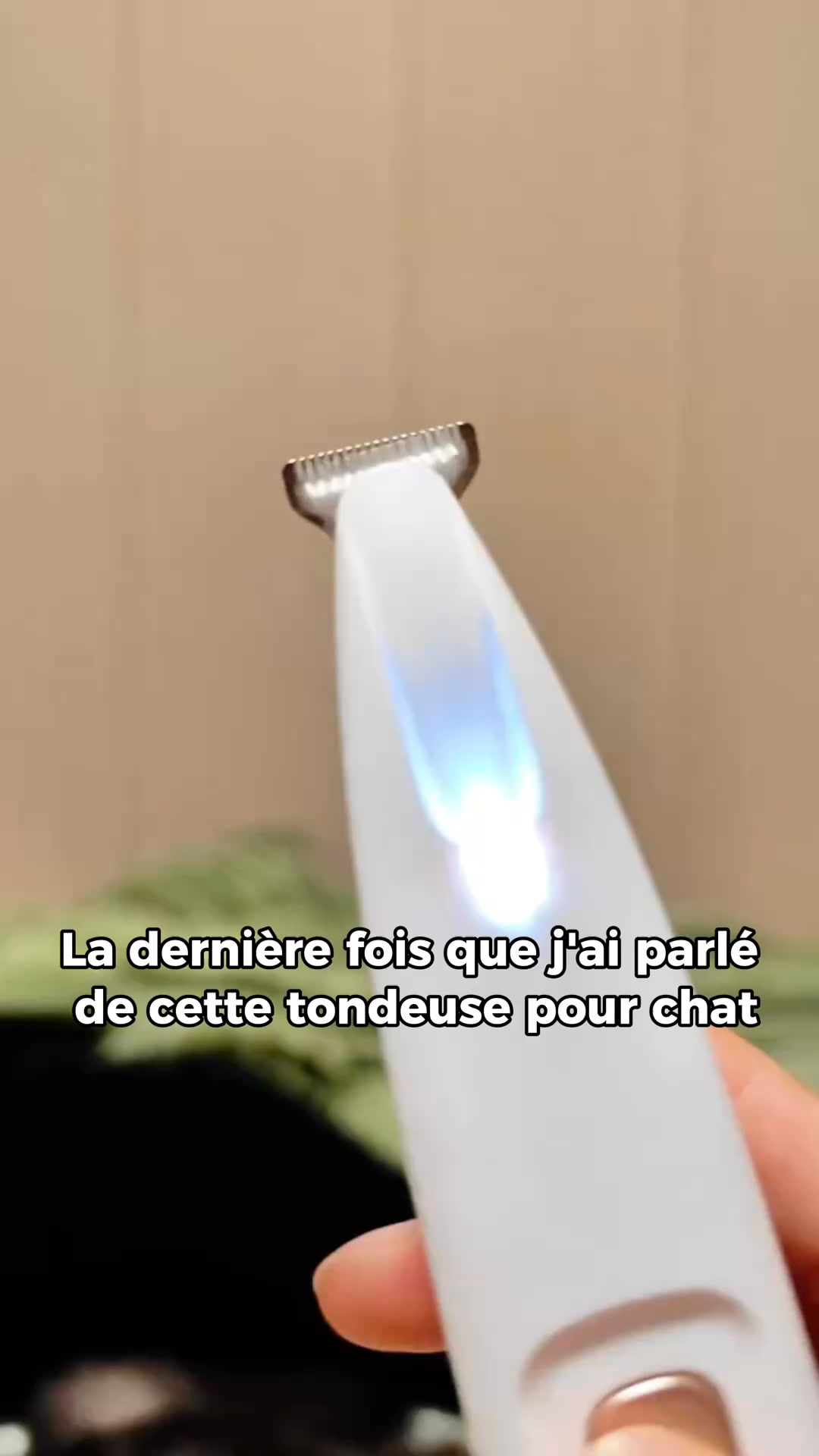 Le toilettage sans stress, enfin possible