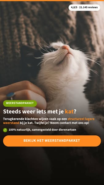 Geef je kat meer dan een knuffel