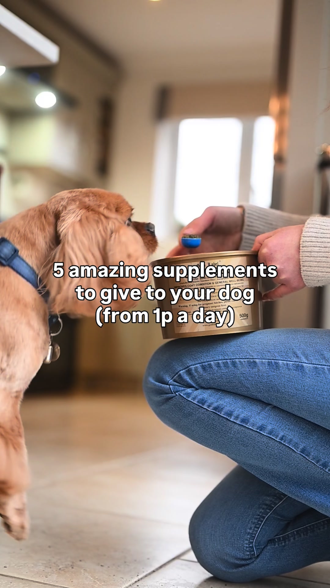 Supplements From Just 1p a Day