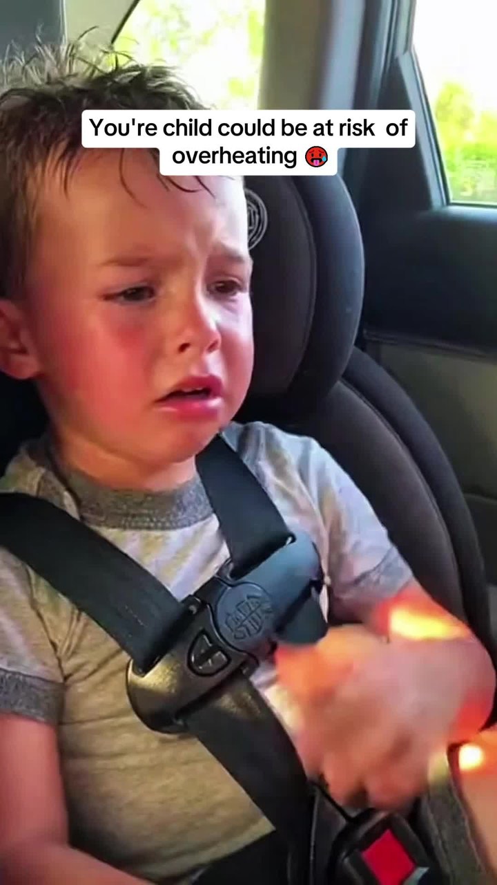 Car Seat Fan