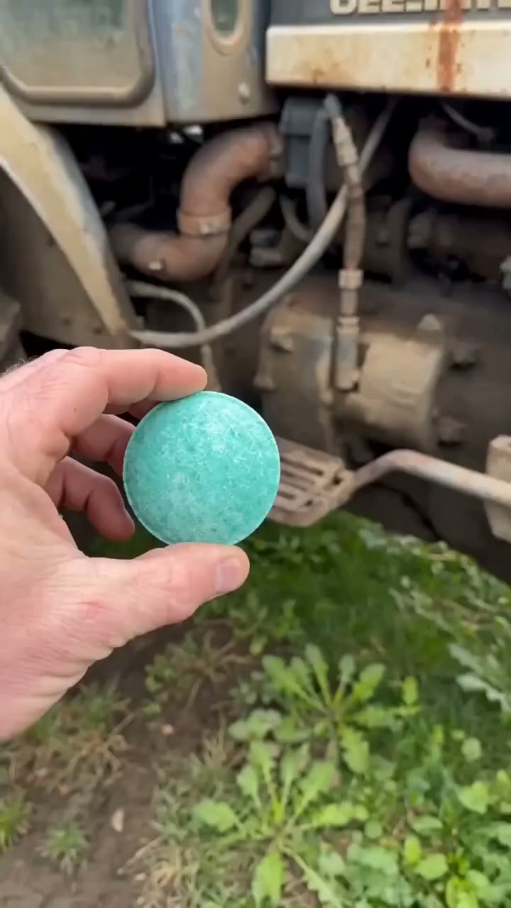 SAY GOODBYE TO RATS, MICE & CREEPY CRITTERS — NATURALLY & BRUTALLY EFFECTIVE!​