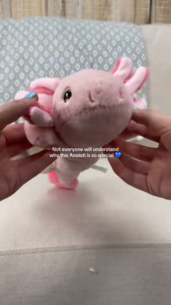 Cuddly T1D Toys with CGMs